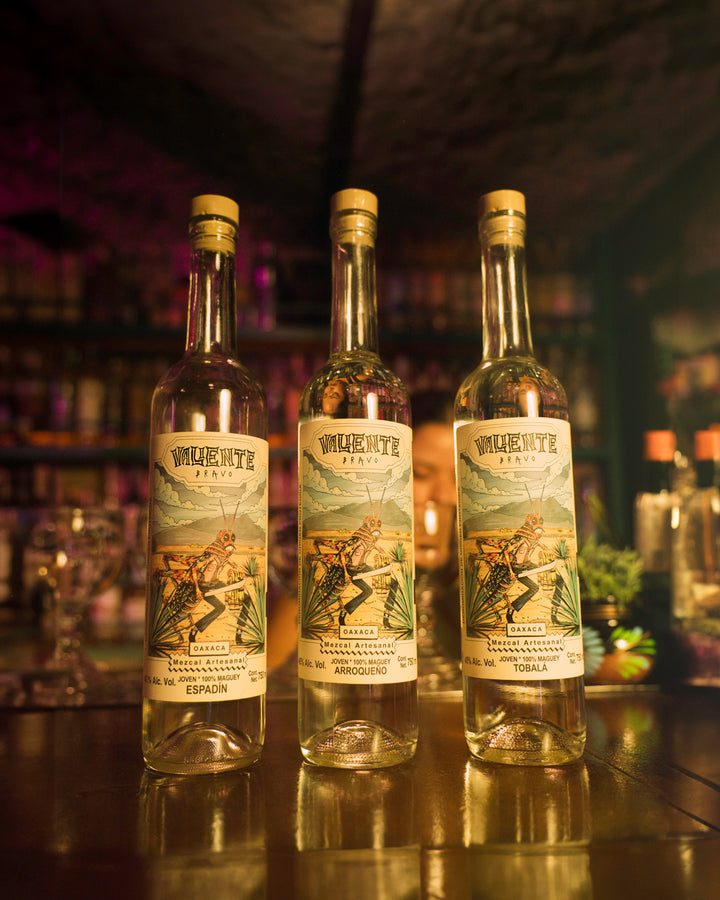 Mezcal Artesanal de Oaxaca Valiente Bravo Espadín 750 ml