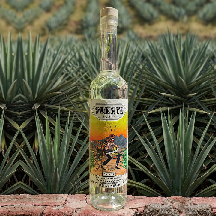 Mezcal Artesanal de Oaxaca Valiente Bravo Madre Cuishe 750 ml