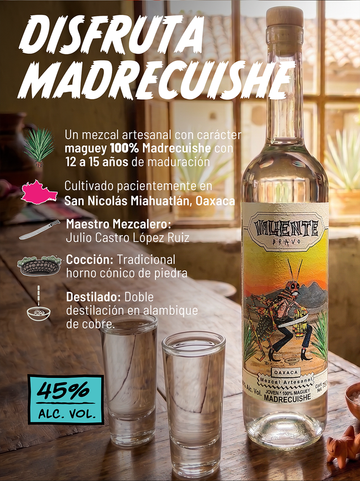 Mezcal Artesanal de Oaxaca Valiente Bravo Madre Cuishe 750 ml