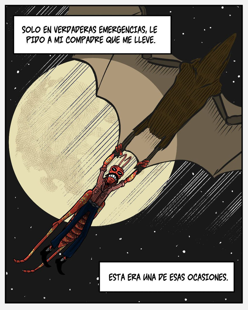 Imagen 7