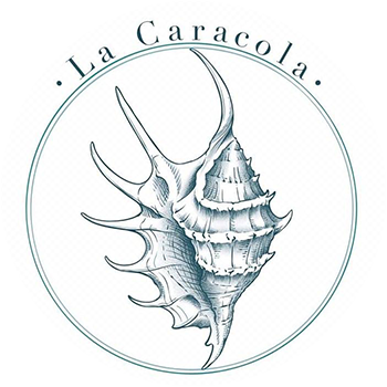 Imagen del carrusel
